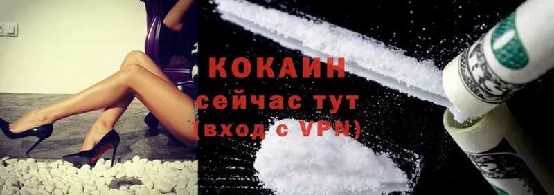 COCAIN Fish Scale  закладки  Киренск 